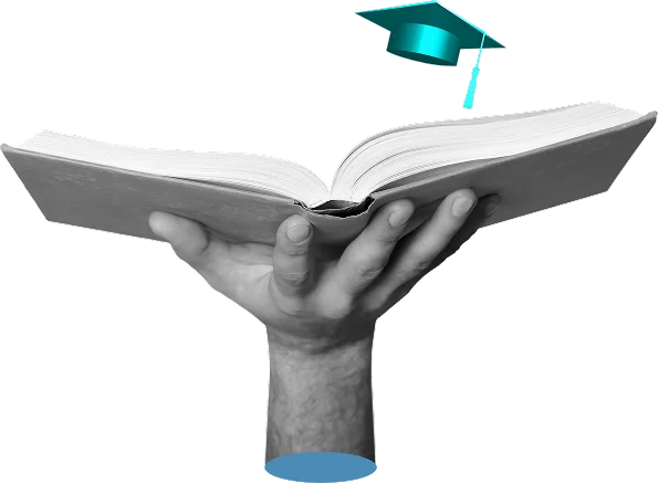 Rabbit Book Publishers